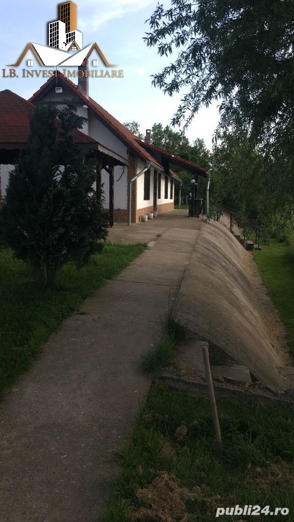 Casa individuala de vacanta cu amenajare piscicola, Masloc, 0% COMISION