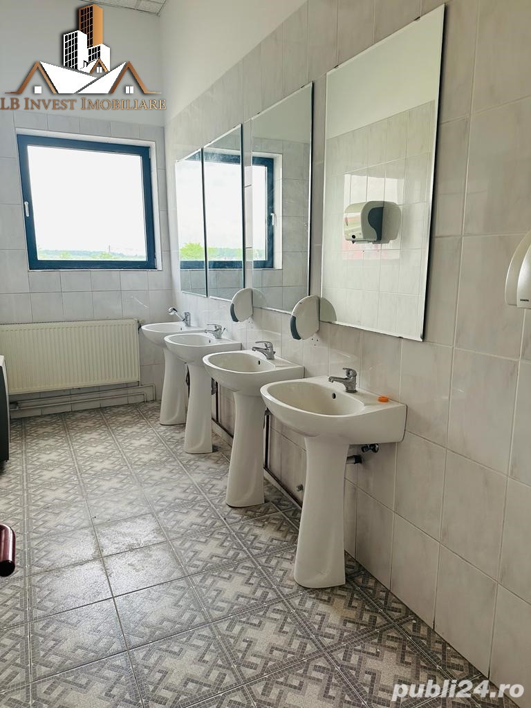 Hala industriala, Calea Lugojului-1500mp+ teren 4000 mp