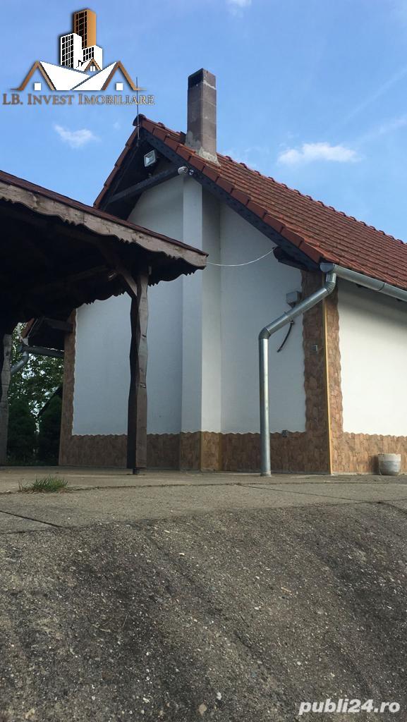 Casa individuala de vacanta cu amenajare piscicola, Masloc, 0% COMISION