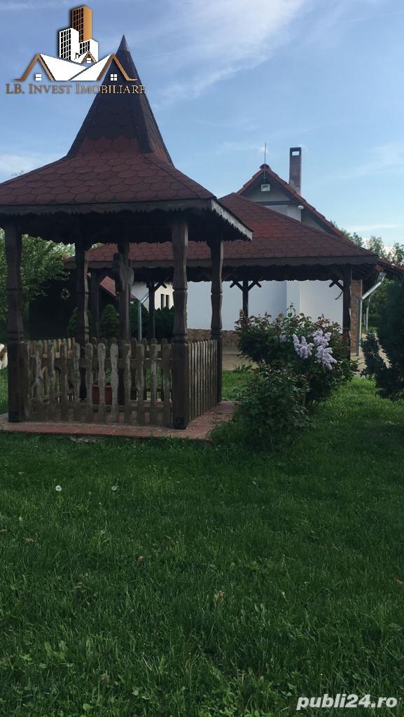 Casa individuala de vacanta cu amenajare piscicola, Masloc, 0% COMISION